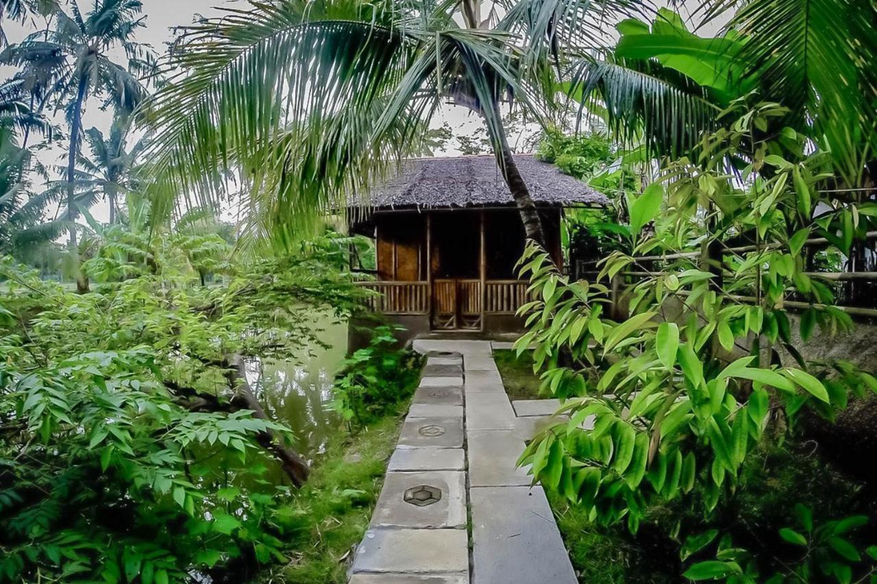 Baleku Bamboo Retreat Hotel ปางันดารัน ภายนอก รูปภาพ