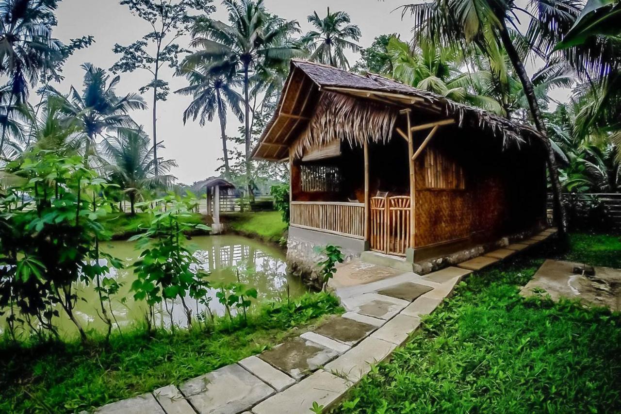 Baleku Bamboo Retreat Hotel ปางันดารัน ภายนอก รูปภาพ